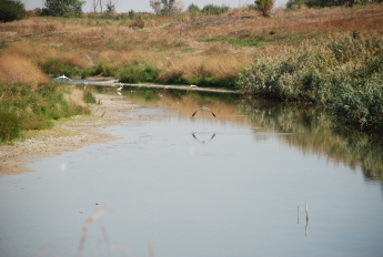 Из-за холеры купание в реке Молочной запрещено (видео)