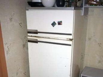 Из-за холодильника горел дом