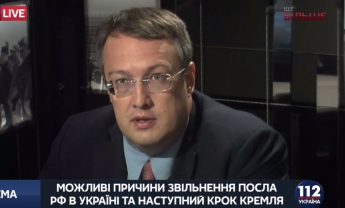 Геращенко ответил Савченко относительно новой Конституции: Процедурой предусмотрено голосование 2/3 парламента
