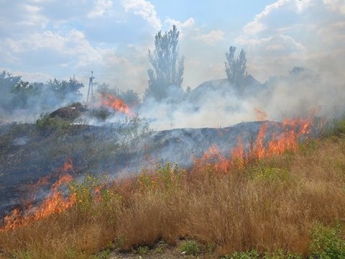 Украинцев предупреждают о чрезвычайной пожарной опасности на юго-востоке 14-19 августа