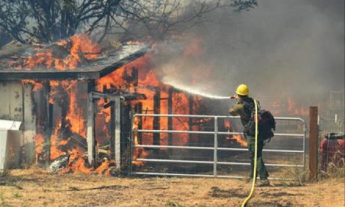 В Северной Калифорнии около 4 тысяч людей покинули свои дома из-за лесного пожара