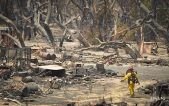 В Калифорнии сгорели почти 200 домов