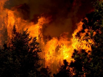 Чрезвычайная пожарная опасность ожидается в Украине