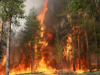 Синоптики предупредили о чрезвычайной пожарной опасности в Украине