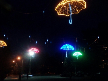 У входа в парк посетителей встречает светодиодный дождь (видео)