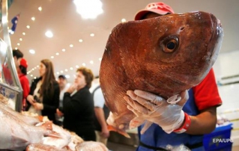 Рыба в украинских магазинах опасна для покупателей - эксперты