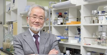 Нобелевскую премию по медицине за 2016 год присудили японскому профессору