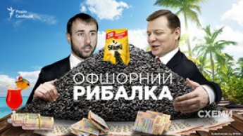 "Спонсор" радикалов Рыбалко перечисляет выручку на оффшоры - СМИ (видео)