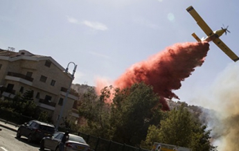 В Израиле заявили о ликвидации всех пожаров