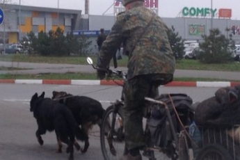 Собак запрягли в велосипед. Фотофакт