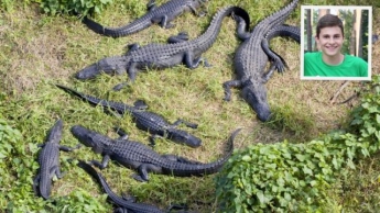 Сына Виталия Кличко укусил крокодил: фото