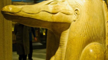 В Египте нашли мумию огромного крокодила (фото)