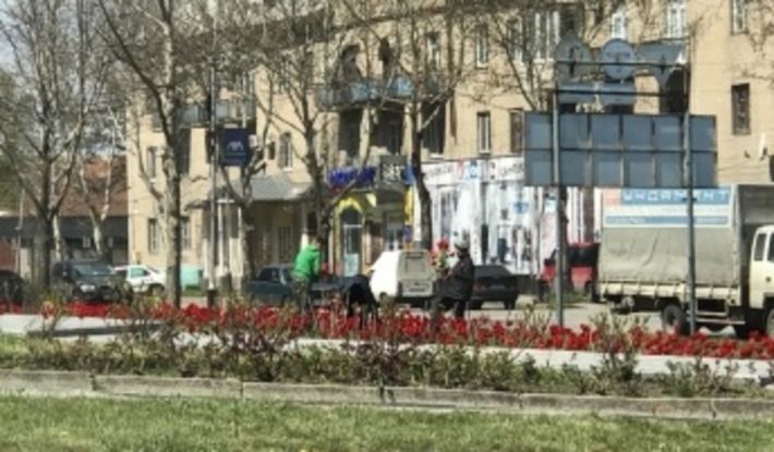 Детвора "обнесла" сквер чернобыльцев (фото)