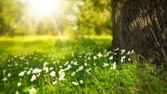 Прогноз погоди на 4 травня: тепло із весняними грозами