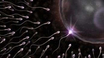 Ученые обнаружили необычное свойство сперматозоидов