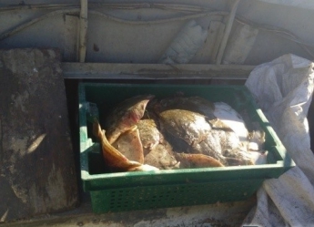 В Запорожской области браконьеры за два дня выловили рыбы на 440 тыс грн (ФОТО, ВИДЕО)