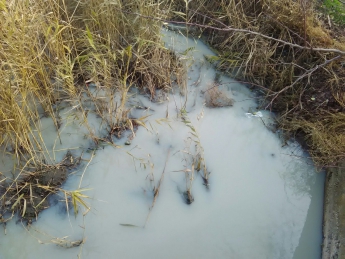 Стала известная причина неприятного запаха возле Песчанского ручья