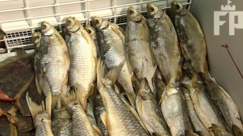 В Запорожье изъяли зараженную ботулизмом рыбу