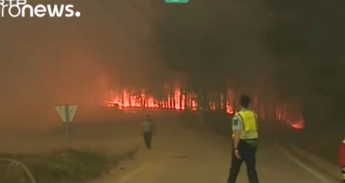 Пожар в Португалии унес жизни 25 человек