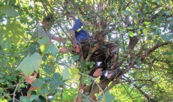 Дедушку, застрявшего на дереве снимали спасатели (Фото)