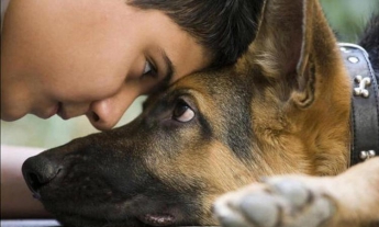 Генетики нашли необычное объяснение дружелюбию собак