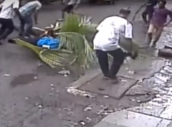 Известную телеведущую убило пальмой в Индии (видео)