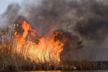 Пожар рядом с артскладами в Новобогдановке под Мелитополем тушили восемь часов