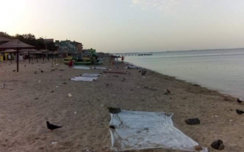 Запорожцам показали фото "пляжей-мусорок"