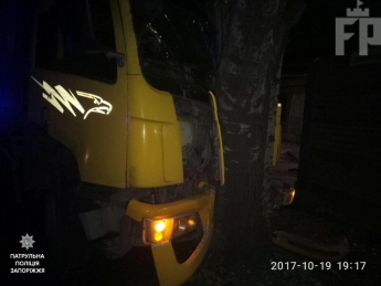 В Запорожье водитель грузовика протаранил дерево (фото)