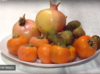 Семья из Запорожской области выращивает тропические фрукты в теплице (ВИДЕО)