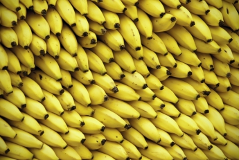 На запорожской трассе задержали фуру с бананами