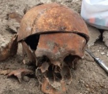 Возле запорожского собора нашли человеческий скелет (Фото)