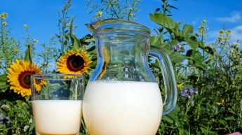 С 1 января в украинских магазинах исчезнет молоко