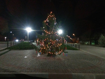 Район Красной горки будет отмечать Новый год со своей елкой (фото)