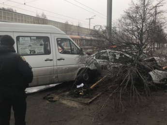 Маршрутка протаранила автомобиль службы охраны - ФОТО