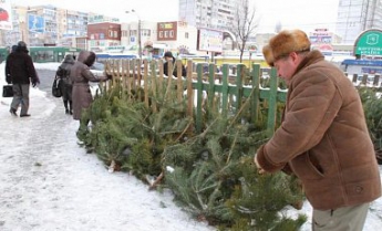 На ликвидацию непроданных елок в Киеве потратят 300 тыс грн