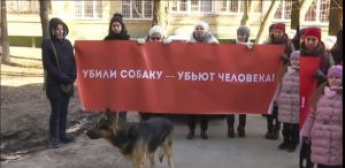 В Киеве подростки привязали петарду под хвост собаке и подожгли – Животное умерло в страшных муках (видео)
