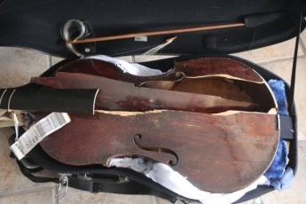 Авиакомпания Alitalia уничтожила старинный музыкальный инструмент скрипачки Мирны Херцог