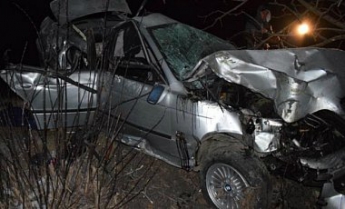 В Винницкой области автомобиль вылетел в кювет: двое погибших