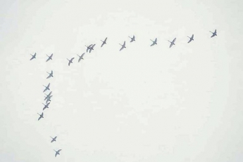 У небі над Тернопільщиною можна було побачити незвичне для зими явище (фото)