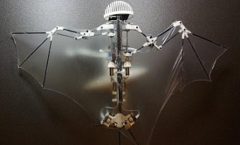 Пентагон заказал разработку роботизированной летучей мыши