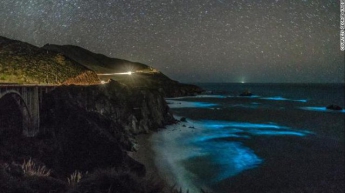 В Калифорнии засветился океан (фото)