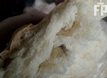 Фотофакт: в Запорожье продают хлеб с пчелами