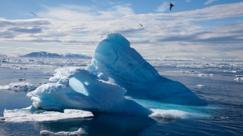 Российский школьники открыли новый остров в Арктике
