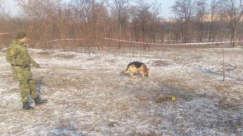 В Кривом Роге собака откопала тело мертвого ребенка (фото)