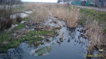 Ручей в черте города превратили в грязное болото (фото)