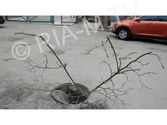 В Мелитополе ВАЗ провалился в люк с пластиковой крышкой (фото)