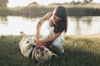 Ученые-ветеринары: Перестаньте щекотать собак, им это не нравится
