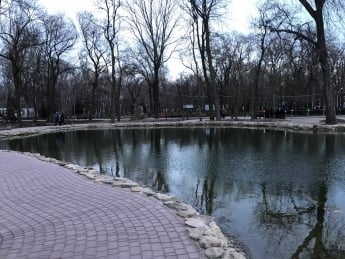 В центральном городском парке через пруд построят мост (фото)