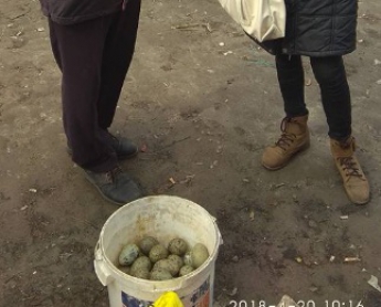 В Запорожье торгуют необычными яйцами (ФОТО)